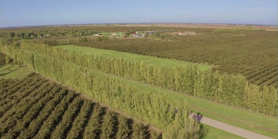 Screenshot 2025 07 09 at 10.21.54 4